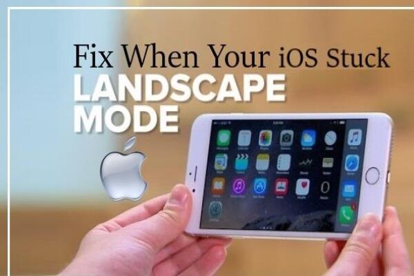 Cách Sửa Lỗi iPhone/iPad Bị Kẹt Ở Chế Độ Ngang Trên iOS 12